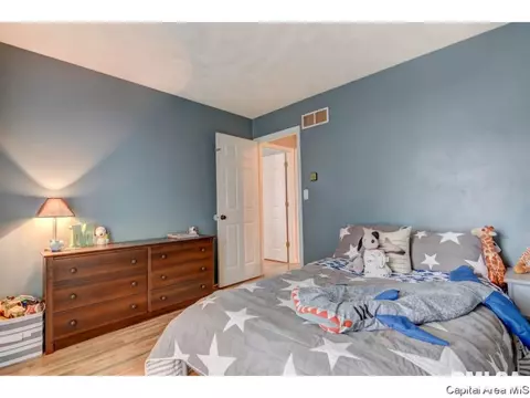 31 Dean Park Rd, Springfield, IL 62707 photo 23