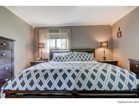 31 Dean Park Rd, Springfield, IL 62707 photo 25
