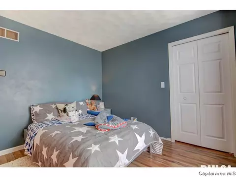 31 Dean Park Rd, Springfield, IL 62707 photo 22
