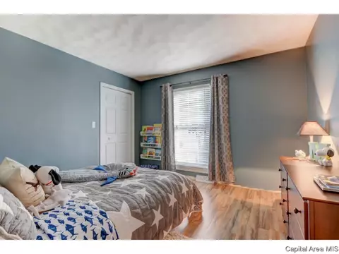 31 Dean Park Rd, Springfield, IL 62707 photo 21
