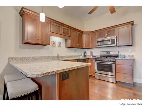 1600 Tern Pl, Springfield, IL 62711 photo 15