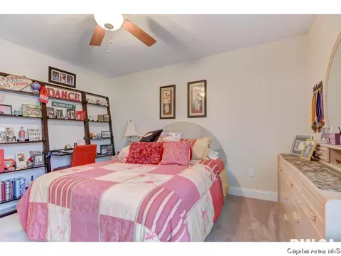 1600 Tern Pl, Springfield, IL 62711 photo 29