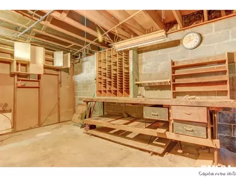 223 N Koke Ml, Springfield, IL 62711 photo 29