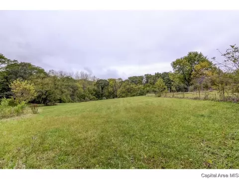 223 N Koke Ml, Springfield, IL 62711 photo 8