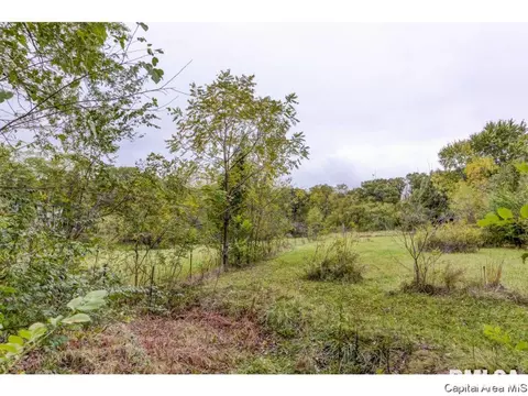223 N Koke Ml, Springfield, IL 62711 photo 9