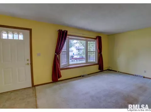 1833 N Albany St, Springfield, IL 62702 photo 10
