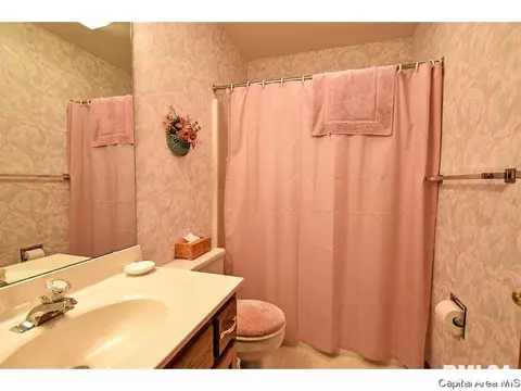 4001 Eagle Wing, Springfield, IL 62711 photo 29