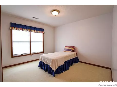 4001 Eagle Wing, Springfield, IL 62711 photo 26