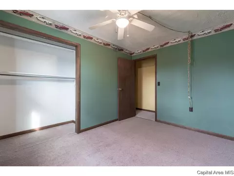 230 E Houston Street St, Springfield, IL 62707 photo 18