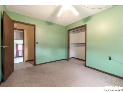 230 E Houston Street St, Springfield, IL 62707 photo 20