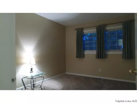94 Windsor, Springfield, IL 62702 photo 21