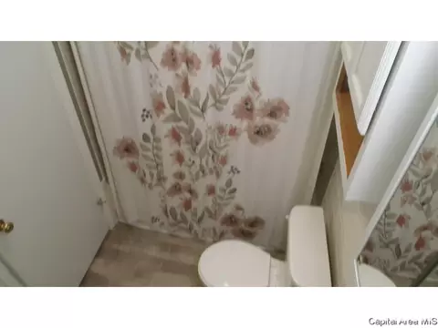 94 Windsor, Springfield, IL 62702 photo 24