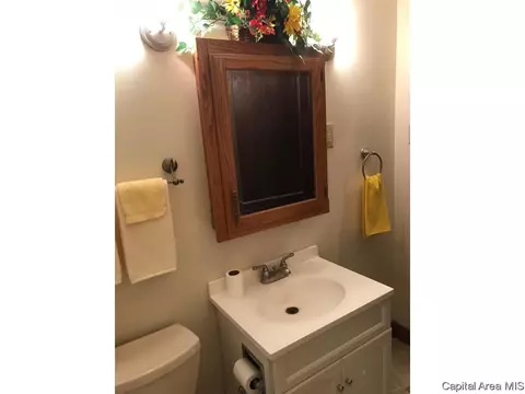 1024 N Rutledge St, Springfield, IL 62702 photo 16