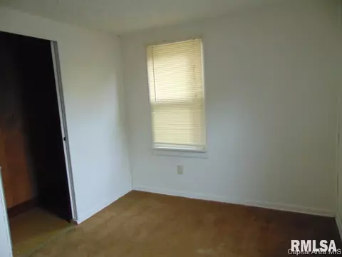 316 E Wilcox St, Springfield, IL 62707 photo 3
