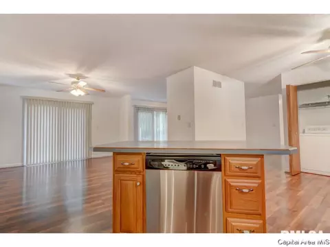 265 Pakey Rd, Springfield, IL 62712 photo 11