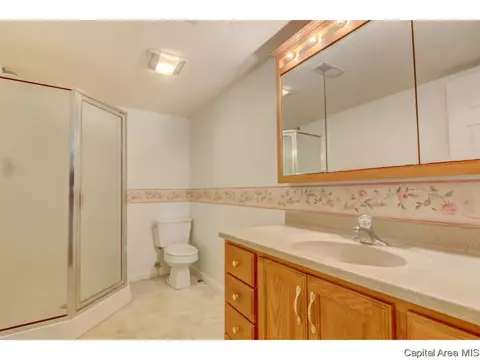 265 Pakey Rd, Springfield, IL 62712 photo 32