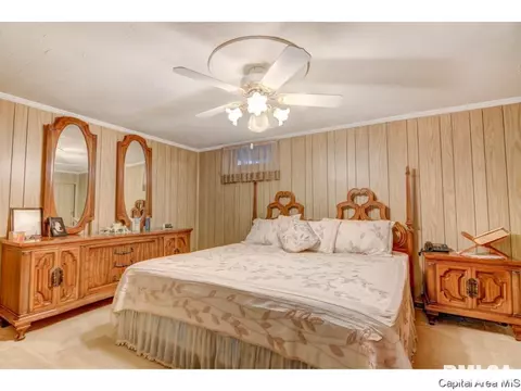 1920 Fairmont Dr, Springfield, IL 62702 photo 30