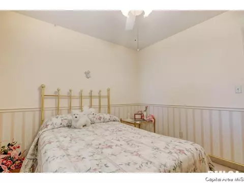 1920 Fairmont Dr, Springfield, IL 62702 photo 28