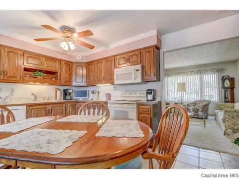 1920 Fairmont Dr, Springfield, IL 62702 photo 17