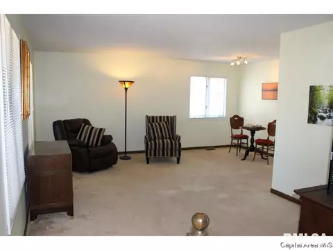 416 Yeoman, Springfield, IL 62704 photo 10