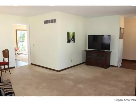 416 Yeoman, Springfield, IL 62704 photo 13