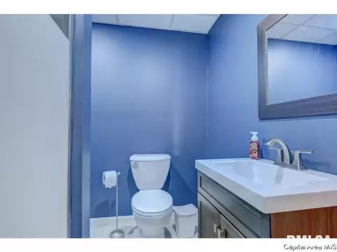 3825 Kerry Blvd, Springfield, IL 62712 photo 23
