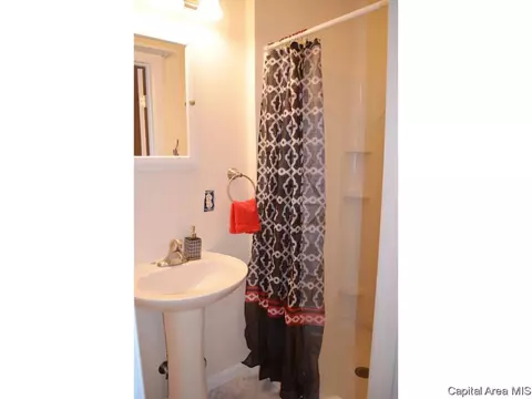 14 Royal Rd, Springfield, IL 62702 photo 21