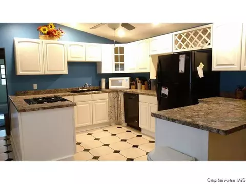 1024 N 3rd Street St, Riverton, IL 62561 photo 3