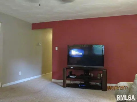 1024 N 3rd Street St, Riverton, IL 62561 photo 8