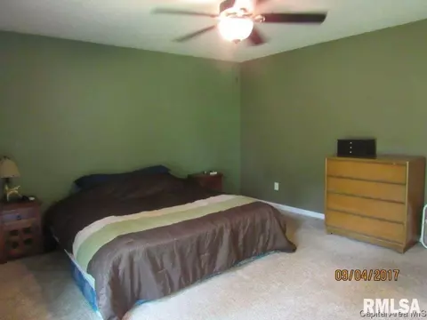 1024 N 3rd Street St, Riverton, IL 62561 photo 10
