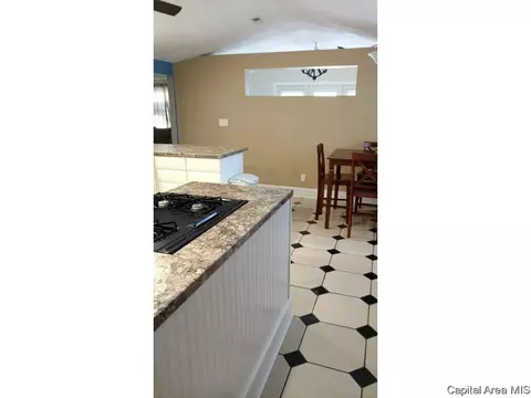 1024 N 3rd Street St, Riverton, IL 62561 photo 5