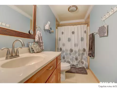 1109 Steeplechase Ln, Springfield, IL 62712 photo 26