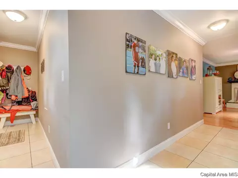 1109 Steeplechase Ln, Springfield, IL 62712 photo 17