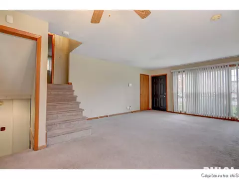 21 Adloff Ln, Springfield, IL 62703 photo 9
