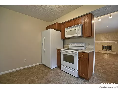 3308 Ivyton Dr, Springfield, IL 62704 photo 10