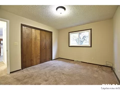3308 Ivyton Dr, Springfield, IL 62704 photo 23
