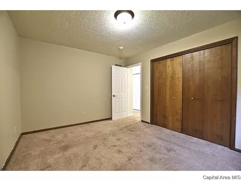3308 Ivyton Dr, Springfield, IL 62704 photo 22