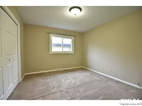 3308 Ivyton Dr, Springfield, IL 62704 photo 20