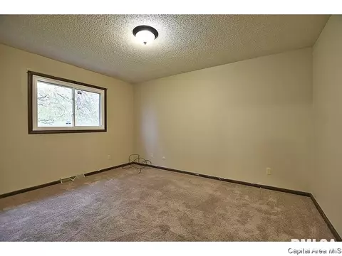 3308 Ivyton Dr, Springfield, IL 62704 photo 24