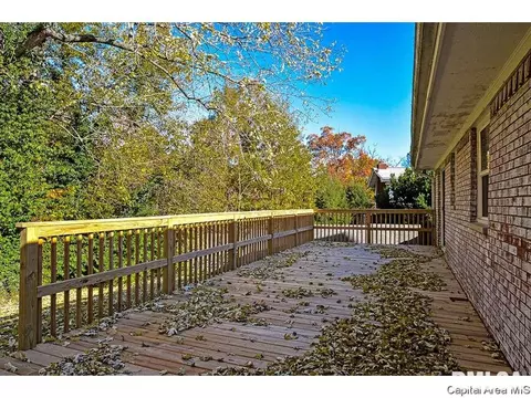 13 Blackberry Run, Springfield, IL 62704 photo 32