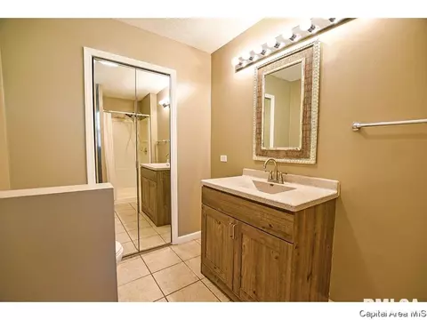 13 Blackberry Run, Springfield, IL 62704 photo 21