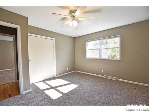 13 Blackberry Run, Springfield, IL 62704 photo 24