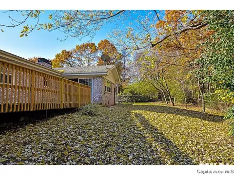 13 Blackberry Run, Springfield, IL 62704 photo 30