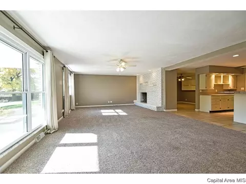 13 Blackberry Run, Springfield, IL 62704 photo 6