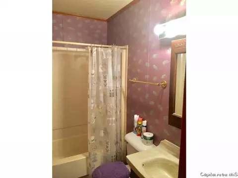 3029 Louise Ln, Springfield, IL 62702 photo 8