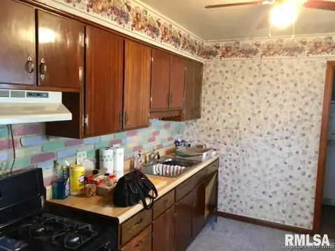 3029 Louise Ln, Springfield, IL 62702 photo 3