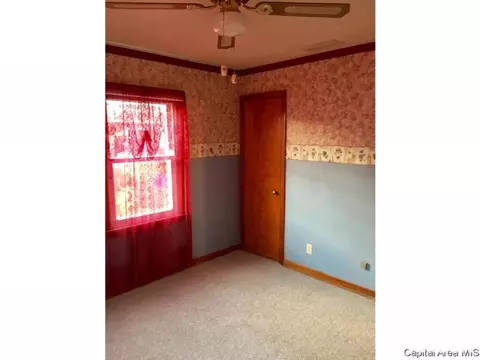 3029 Louise Ln, Springfield, IL 62702 photo 5