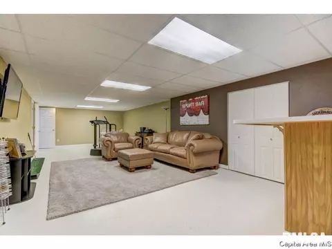 216 Willow Ln, Springfield, IL 62707 photo 20