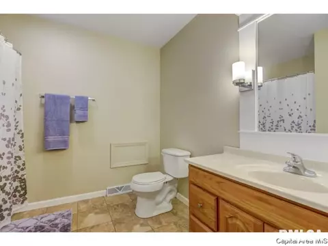 216 Willow Ln, Springfield, IL 62707 photo 35