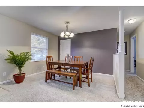 216 Willow Ln, Springfield, IL 62707 photo 15